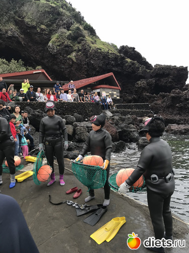 121 фото: Южная Корея. Апрель 2019