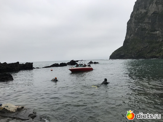 122 фото: Южная Корея. Апрель 2019