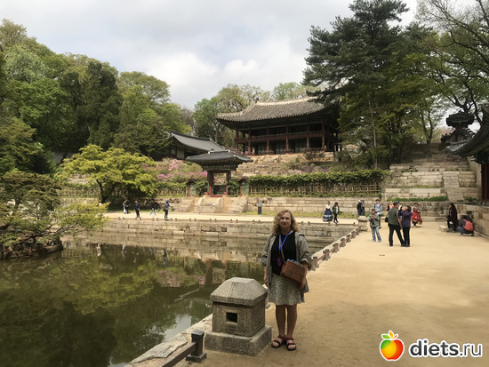 9 фото: Южная Корея. Апрель 2019