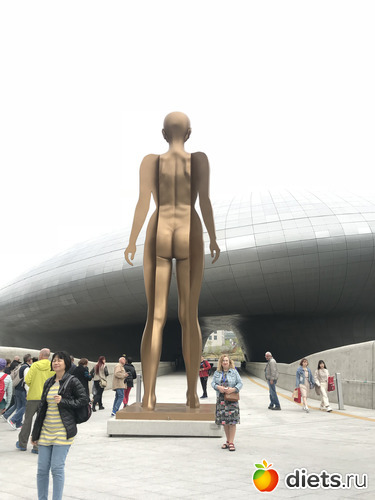 59 фото: Южная Корея. Апрель 2019