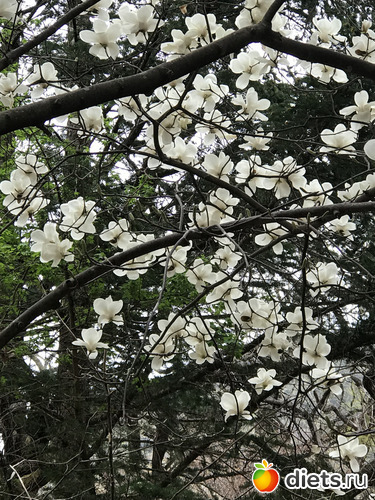 92 ����: ����� �����. ������ 2019