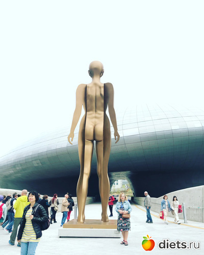 61 фото: Южная Корея. Апрель 2019