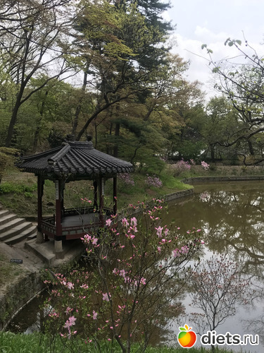 26 фото: Южная Корея. Апрель 2019