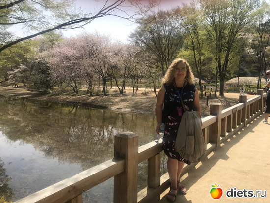 64 фото: Южная Корея. Апрель 2019