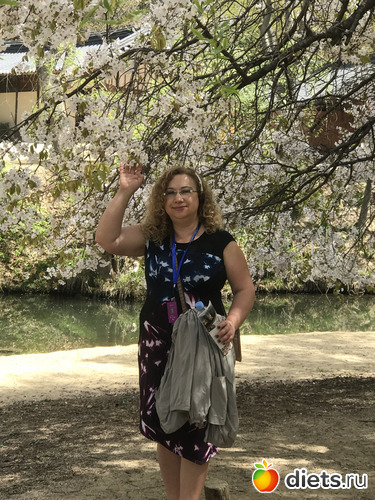 72 фото: Южная Корея. Апрель 2019