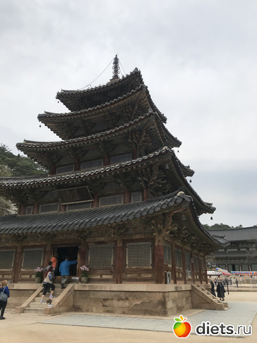 97 фото: Южная Корея. Апрель 2019