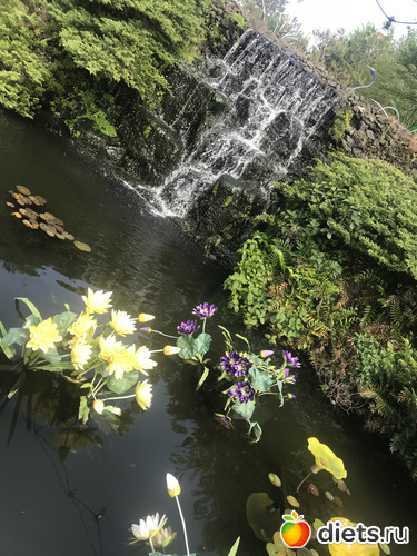 259 фото: Южная Корея. Апрель 2019