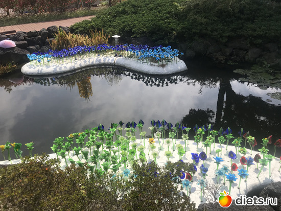 262 фото: Южная Корея. Апрель 2019