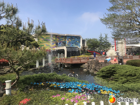 263 ����: ����� �����. ������ 2019