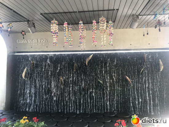 135 фото: Южная Корея. Апрель 2019