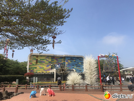 264 ����: ����� �����. ������ 2019