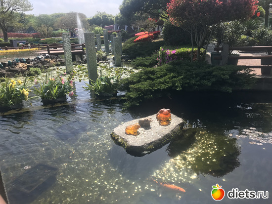 136 фото: Южная Корея. Апрель 2019