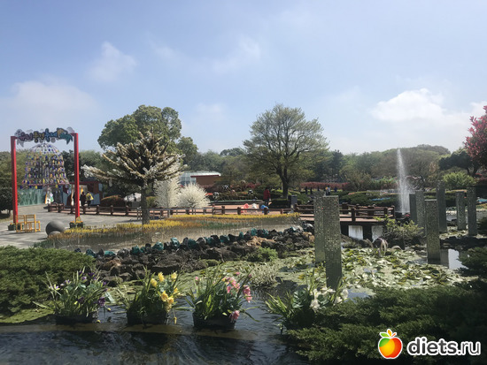 138 фото: Южная Корея. Апрель 2019