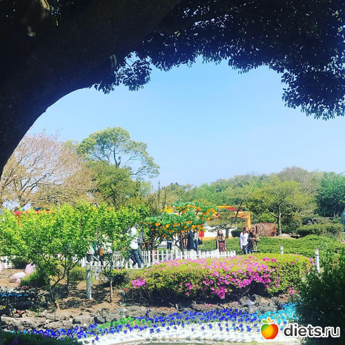 150 фото: Южная Корея. Апрель 2019