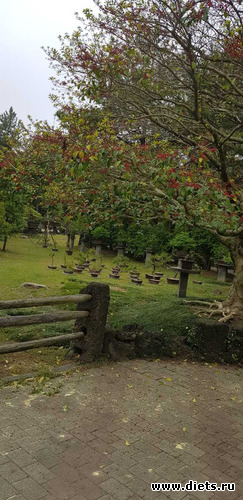 151 ����: ����� �����. ������ 2019