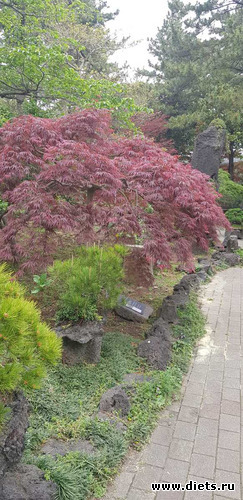 152 фото: Южная Корея. Апрель 2019