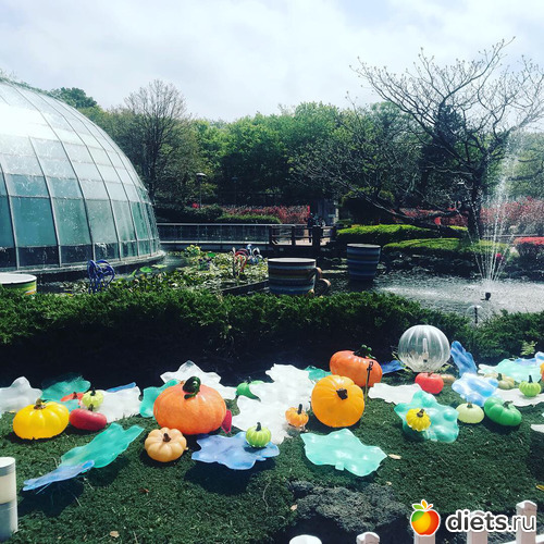 155 фото: Южная Корея. Апрель 2019