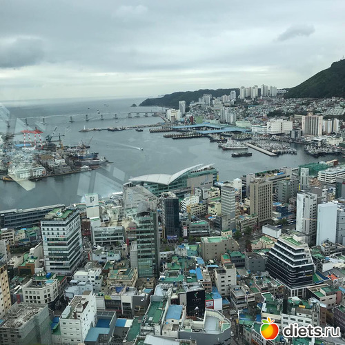 158 фото: Южная Корея. Апрель 2019