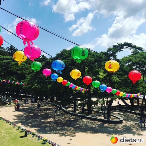 159 фото: Южная Корея. Апрель 2019