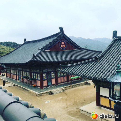 162 фото: Южная Корея. Апрель 2019