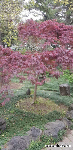 169 ����: ����� �����. ������ 2019