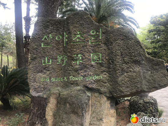 172 фото: Южная Корея. Апрель 2019