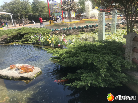 143 фото: Южная Корея. Апрель 2019