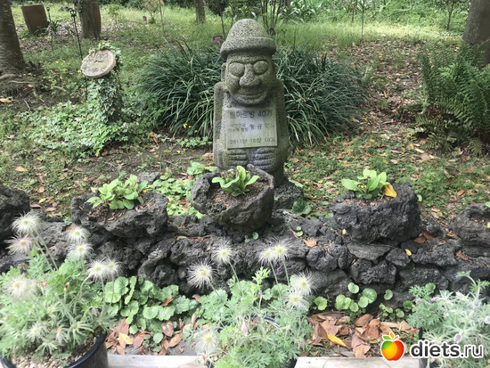 176 ����: ����� �����. ������ 2019