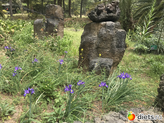 177 фото: Южная Корея. Апрель 2019