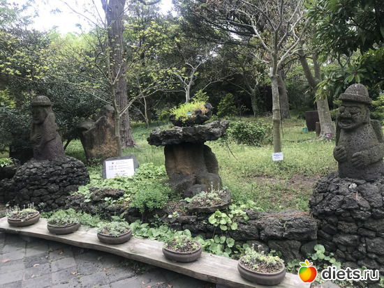 179 ����: ����� �����. ������ 2019