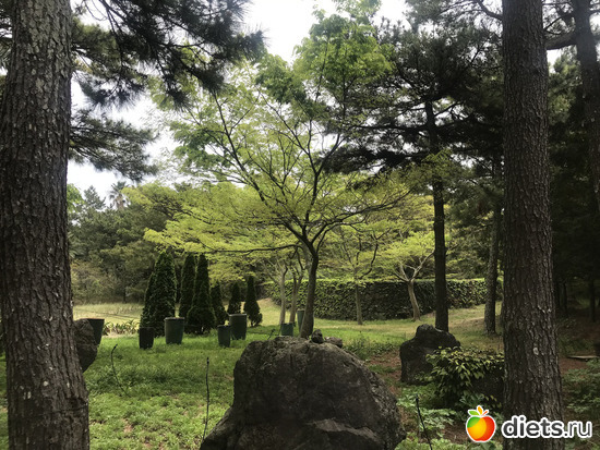 180 ����: ����� �����. ������ 2019