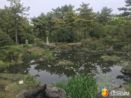 182 фото: Южная Корея. Апрель 2019