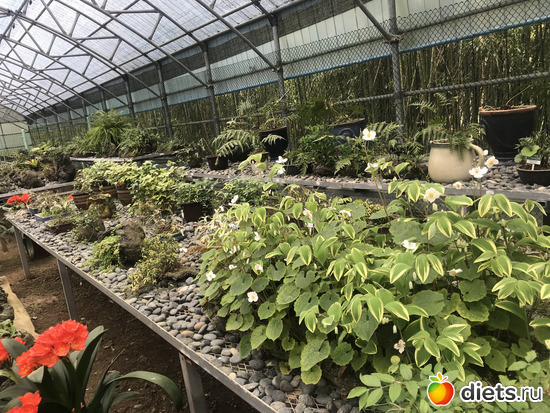 186 фото: Южная Корея. Апрель 2019