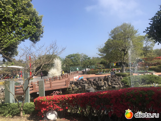 146 фото: Южная Корея. Апрель 2019