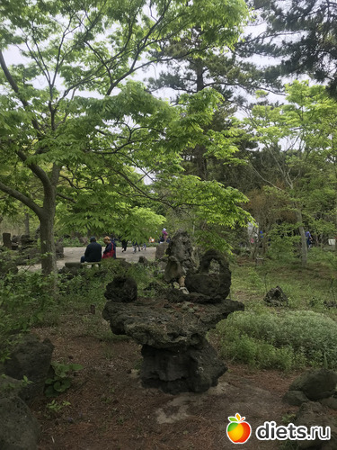 188 фото: Южная Корея. Апрель 2019