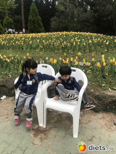 190 фото: Южная Корея. Апрель 2019