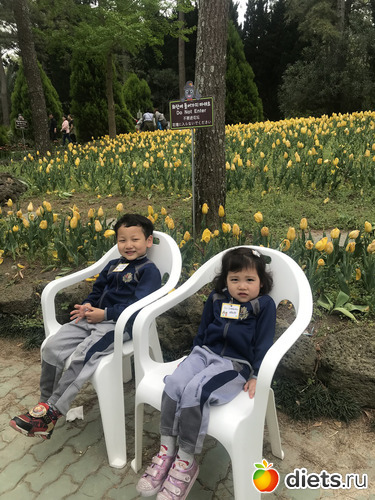 191 ����: ����� �����. ������ 2019