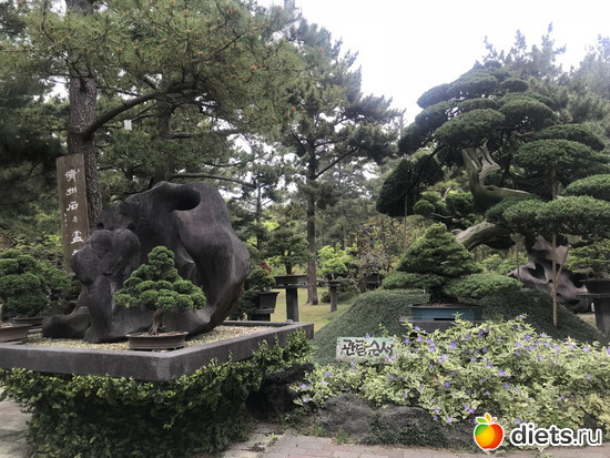 192 фото: Южная Корея. Апрель 2019