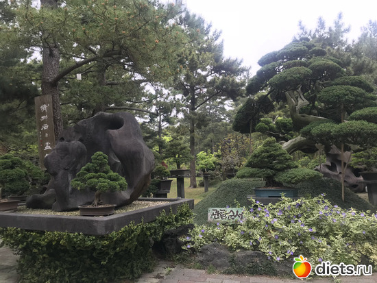 193 фото: Южная Корея. Апрель 2019