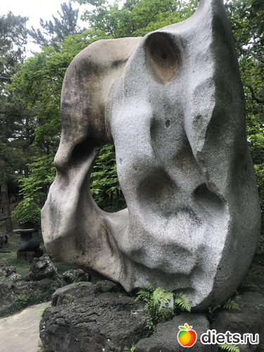 195 фото: Южная Корея. Апрель 2019