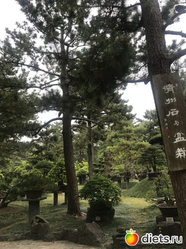 196 фото: Южная Корея. Апрель 2019