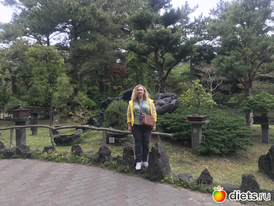 201 фото: Южная Корея. Апрель 2019