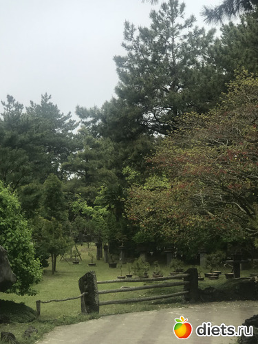 202 фото: Южная Корея. Апрель 2019