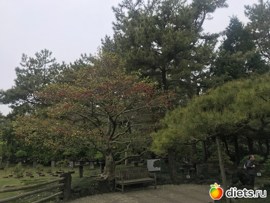 205 фото: Южная Корея. Апрель 2019