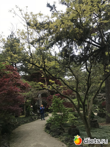 206 фото: Южная Корея. Апрель 2019