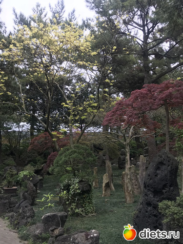 208 фото: Южная Корея. Апрель 2019