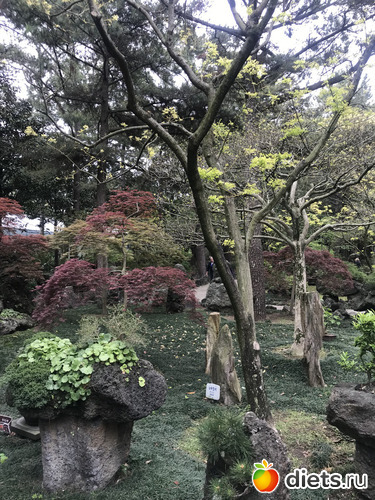 209 фото: Южная Корея. Апрель 2019