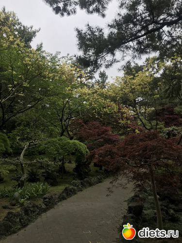 212 фото: Южная Корея. Апрель 2019