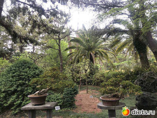 218 фото: Южная Корея. Апрель 2019