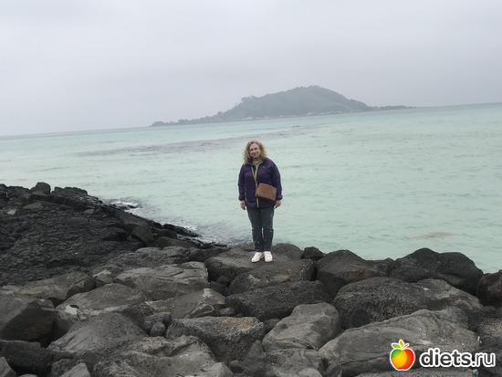 223 ����: ����� �����. ������ 2019